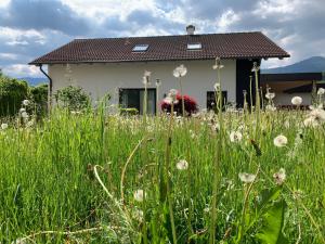 Zahrada ubytování Appartement Kammblick