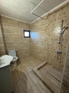a bathroom with a shower and a toilet and a sink at Vila Manila in Eforie Nord