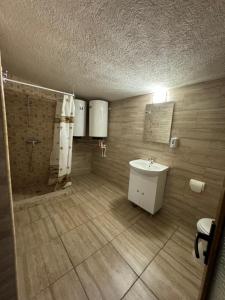 a bathroom with a shower and a sink in it at Vila Lotus in Eforie Nord