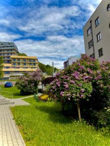 Vonkajšia záhrada v ubytovaní Cristal Apartament Krynica - Zdrój