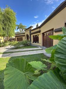 ein Haus mit großen grünen Pflanzen davor in der Unterkunft Casa Villa Elisa Rio Tercero in Río Tercero