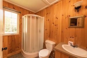 a bathroom with a shower and a toilet and a sink at Chalet des Boisés 10 in Murdochville