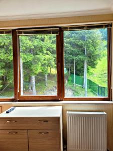Imagen de la galería de Hotel forest echo, en Borjomi