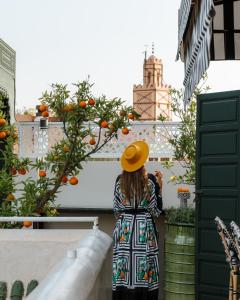 Majutusasutuse Riad Botanica külastajad