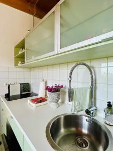 una cocina con fregadero y encimera en Cottage Gols, en Gols