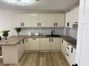 Η κουζίνα ή μικρή κουζίνα στο Seaview Flat Cobh