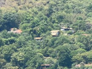 a house on the side of a hill with trees at Minas Em Marambaia in Rio de Janeiro