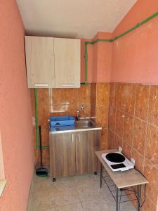 Kuchyň nebo kuchyňský kout v ubytování Apartments Zeneva