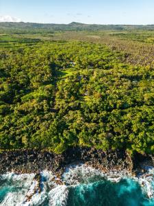 Billede fra billedgalleriet på Jungle Haven Ocean Front Eco Villa On Fruit Farm i Pahoa