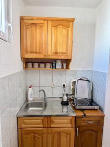 Kuchyň nebo kuchyňský kout v ubytování Apartments Zeneva