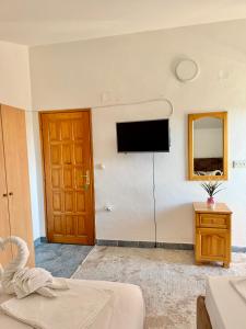 TV a/nebo společenská místnost v ubytování Apartments Zeneva