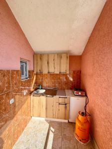 Kuchyň nebo kuchyňský kout v ubytování Apartments Zeneva