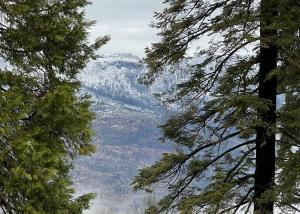 a view of a mountain from between two trees at Yosemite Quail - Nestled in with a View in Yosemite West