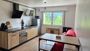 Kuchyň nebo kuchyňský kout v ubytování Appart'Hotel Lizon Cocooning avec sauna