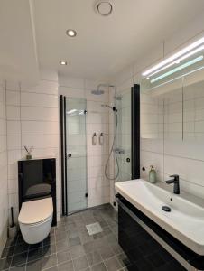 a bathroom with a toilet and a sink and a shower at Stille leilighet med topp beliggenhet i Tromsø sentrum in Tromsø