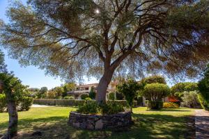 Photo de la galerie de l'établissement Villaggio La Cinta, à San Teodoro