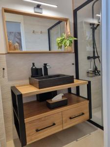 エーグ・モルトにあるLa Chambre Côté Piscineの洗面化粧台(洗面台、鏡付) +20枚の写真