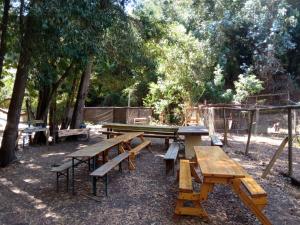 a group of picnic tables and benches in a park at Hualqui Cabaña Santa Galoriza , Sector La Calle in El Cerrillo +7 photos