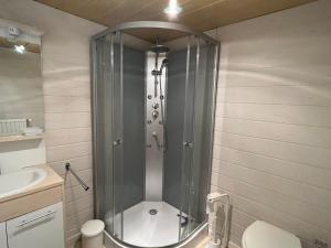 a shower in a bathroom with a toilet and a sink at Charmant Gîte en Montagne avec Terrasse et Garage, Proche La Bresse Ski et Sentiers Balises - FR-1-589-17 in Cornimont +8 photos