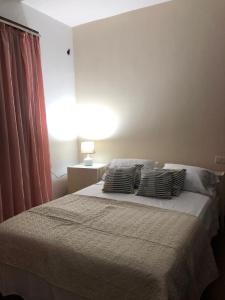 Gulta vai gultas numurā naktsmītnē Frida Hostel