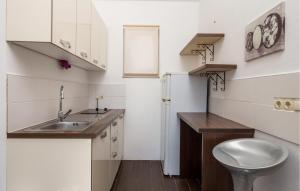 Kuchyňa alebo kuchynka v ubytovaní Stunning Home In Pinezici With Kitchen