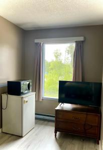 TV a/nebo společenská místnost v ubytování Valemount Hotel