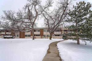 博尔德2BR Gem in the heart of Boulder - Pets Allowed, Gym & Pool的大楼前有雪盖的人行道