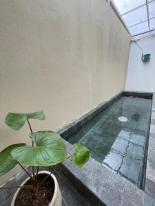 a plant in a pot next to a swimming pool at Hi-bear nation Villa near Lembang Zoo in Lembang