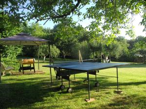 Instalaciones para jugar ping pong en Maison typique du Périgord avec jardin clos, proche de Sarlat et activités familiales - FR-1-616-98 o alrededores