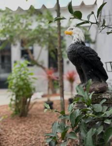 a statue of an eagle sitting on a rock at Apê Mini Casa - Ar condicionado - ao lado do Sesc Bertioga dentro da Pousada Lemon in Bertioga +22 photos