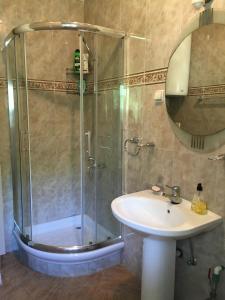 a bathroom with a shower and a sink at Apartment San Stefan in Sveti Stefan