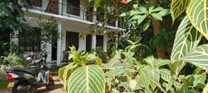 a scooter parked in front of a house with plants at New Summer Set Inn in Dambulla