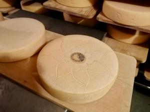 um close de uma tábua de corte com queijo em Alp Es-Cha Dadour em Madulain