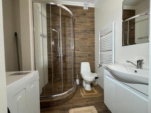a bathroom with a shower and a toilet and a sink at АВІА in Uzhhorod +67 photos