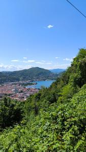 vista su una città e su un lago da una collina di Gloria's GARDENIA RETREAT a Como