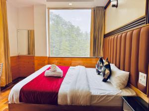 Φωτογραφία από το άλμπουμ του Decent Stays στη Σίμλα