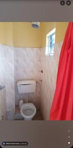 a bathroom with a toilet and a red shower curtain at Robeck's Guest House in Gatunga