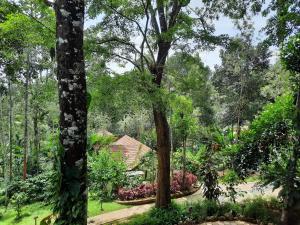 Zahrada ubytování Willow Resorts Wayanad