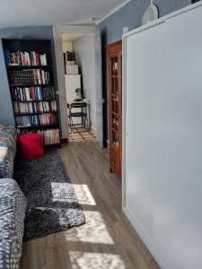 Knihovna v apartmánu
