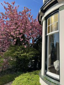 Een tuin van B&B Villa Frisia