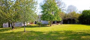 Κήπος έξω από το Maison de Vacances Cauzac