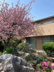 Zahrada ubytování Sakura house