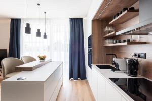 Kuchyň nebo kuchyňský kout v ubytování Endemit Apartment