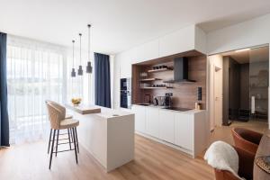 Kuchyň nebo kuchyňský kout v ubytování Endemit Apartment