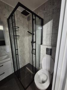 Un baño con inodoro y ducha de cristal. en Jūras 3, en Ventspils