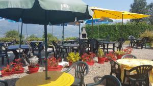Ein Garten an der Unterkunft Chalets du Lac