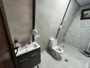 a bathroom with a toilet and a sink and a shower at Orange Cottage in Agara