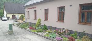 Zahrada ubytování APARTMÁNY PIETRO
