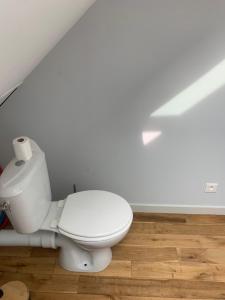 a white toilet in a bathroom with a wooden floor at Maison de la Rébergère in Javené +8 photos