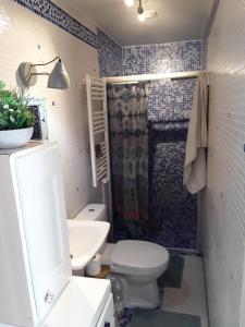 a bathroom with a toilet and a sink and a shower at Maison de Hameau in Breil-sur-Roya +8 photos